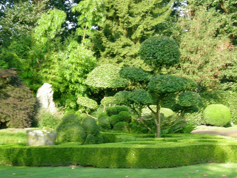 Rückschnitt-, Pflege- und Pflanzarbeit von Ruffing Garten- und Landschaftsbau