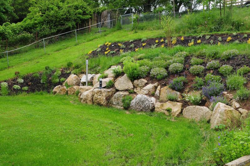 Rückschnitt-, Pflege- und Pflanzarbeit von Ruffing Garten- und Landschaftsbau